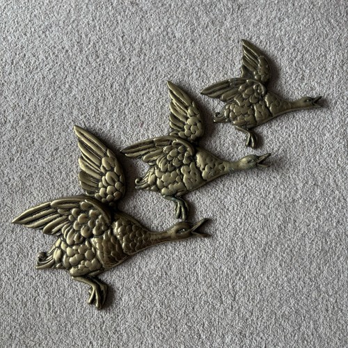Graduated flying ducks vintage - graduated,
