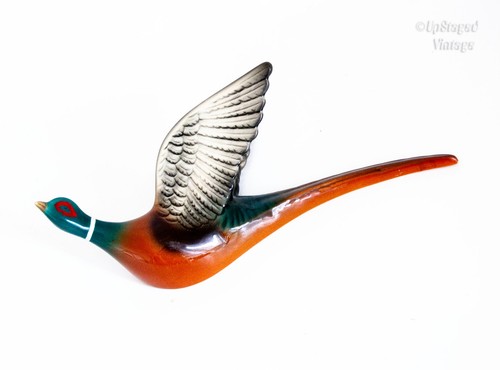 Flying duck 1950s pheasant - flying,