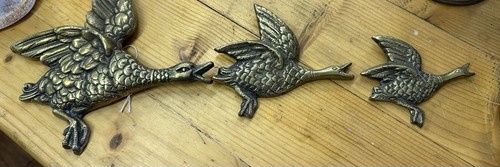 Graduated flying ducks - flying,