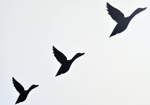 Retro flying duck - retro, wall