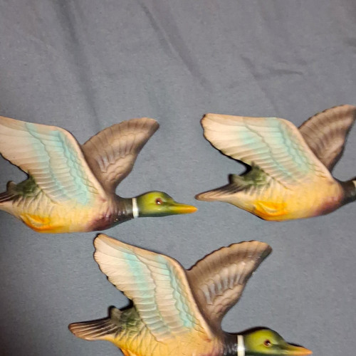 Set flying duck wall - set, 3