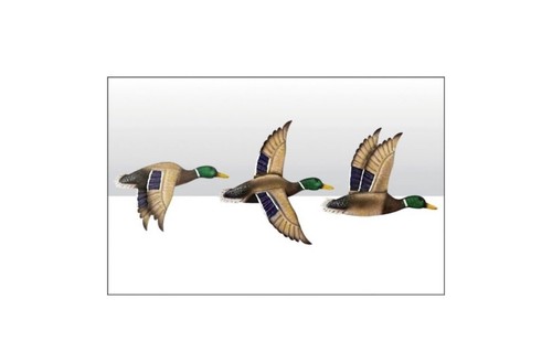 Set metal flying - flying, ducks