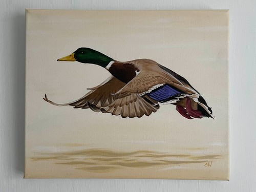 Flying duck painting - flying,