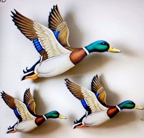 Flying wild ducks - flying, rustic