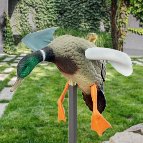 Wind flying duck - duck, fly