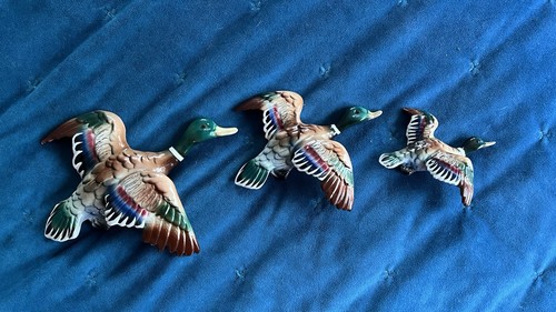 Ucagco flying mallard - mallard, ducks