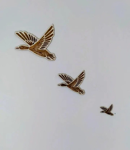 Engraved flying ducks - engraved,