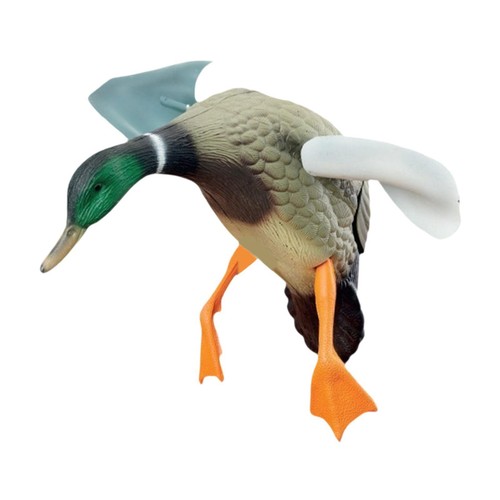 Wind flying duck mallard - flying,