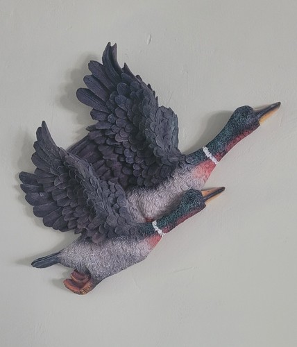 Resin flying duck wall - resin,