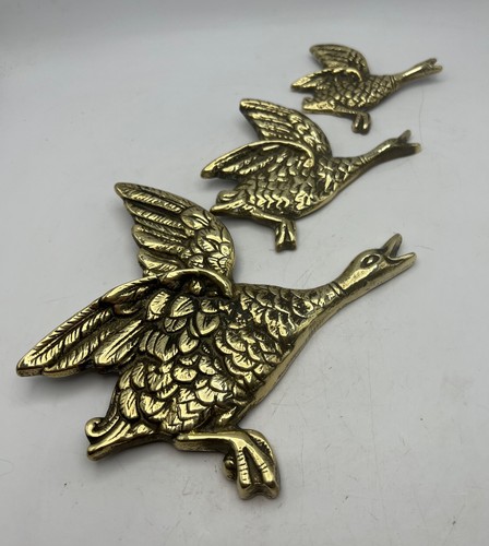 Graduated flying ducks - flying,