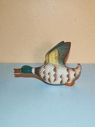 Mallard flying duck - flying,