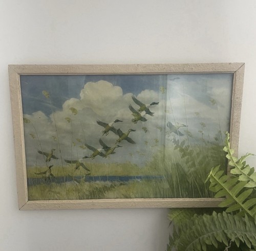 Vintage flying ducks mid - vintage,