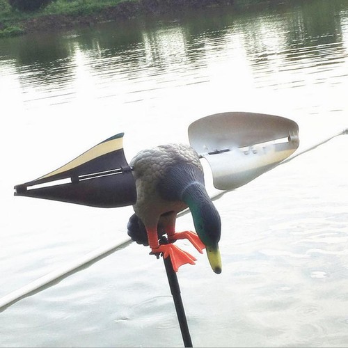 Wind duck decoy - ,, outdoor