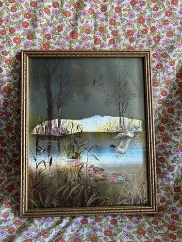 Vintage framed duck wildlife - framed,