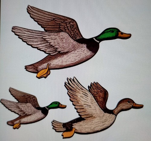 Flying wild duck family 2d - wild,